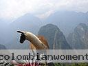 Machu-Picchu-009